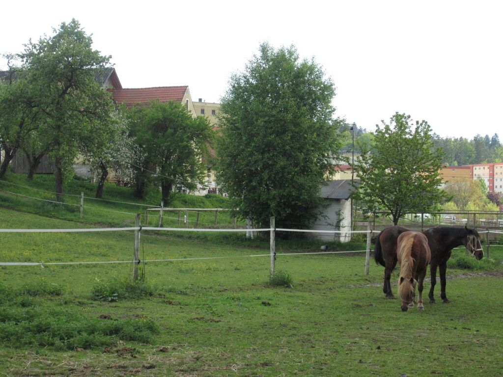 Datei:Ragnitzstraße 161, Pferde.JPG