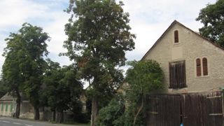 Stall und Gasthaus Laukhardt 2011