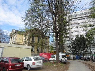 Die bedrängte Villa (Foto Laukhardt) 2012