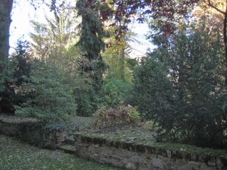 Garten (Foto Laukhardt 2009)
