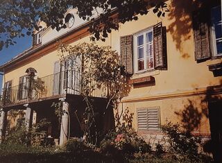 Blick von Nordost (aus: Reiter, Wetzelsdorf) 2001