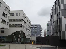 - 2015