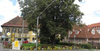 Der Park an der Radetzkybrücke (Foto Laukhardt 2011)