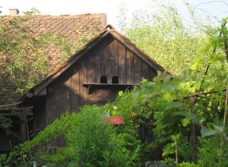 Taubenschlag (Foto Laukhardt 2011)