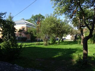 aktuell: Wiese und Obstbäume 2015