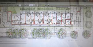 2013 gefällte Bäume (x) - Laukhardt 2013